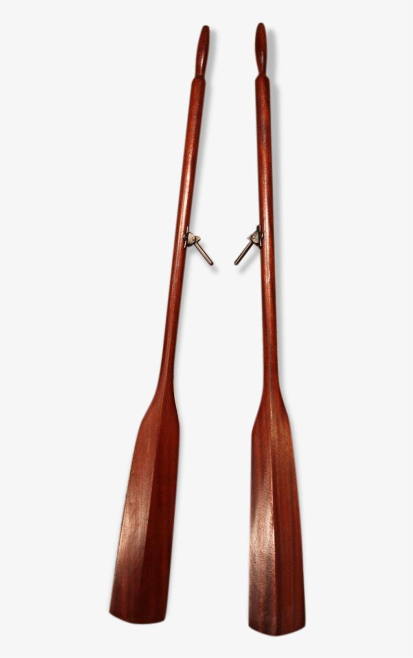 Wood, transparent png #8147171