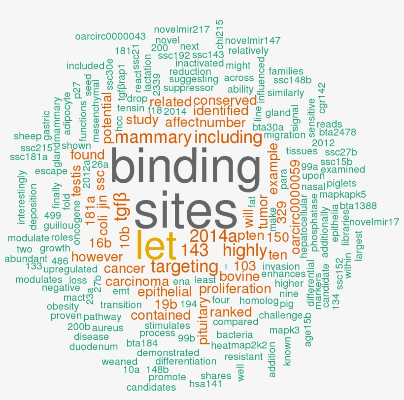 Stem Loop Sequence Oar Mir 148a - Hsa Let 7a 3p 5p 3 Utr, transparent png #8147475
