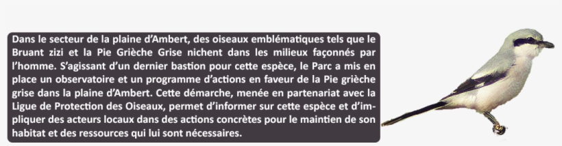 683 3 - Wire, transparent png #8148855