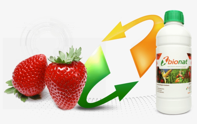 Fresa - توت فرنگی به انگلیسی, transparent png #8149715