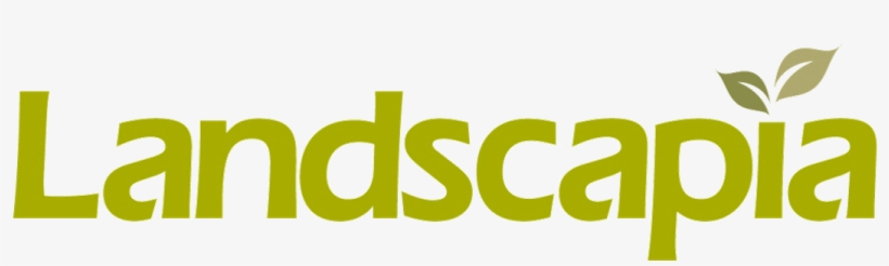 Hakonechloa Macra 'aureola' - Graphics, transparent png #8150049