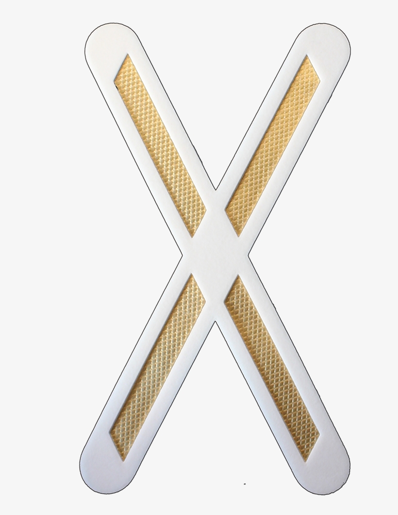 Xcoilweb, transparent png #8150756