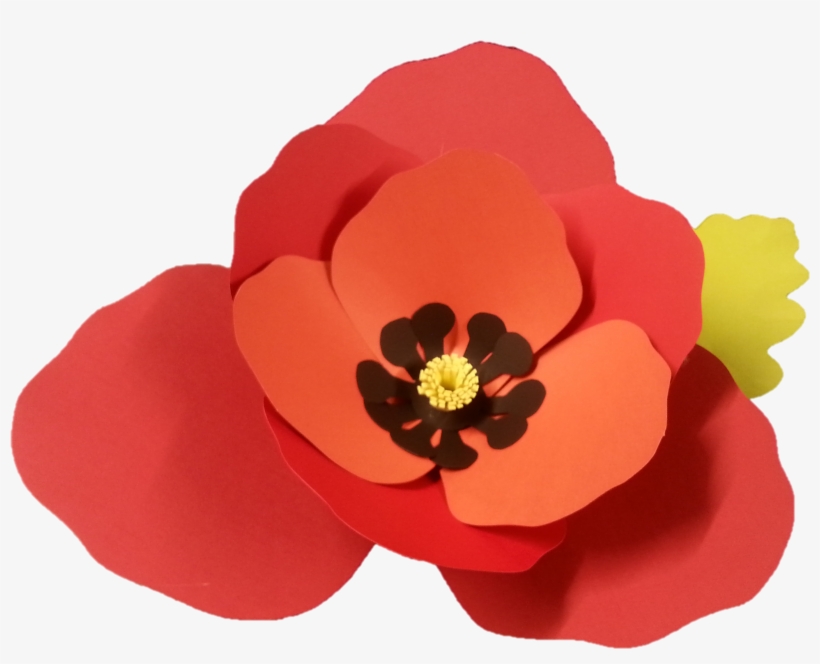 Poppy - Corn Poppy, transparent png #8151575