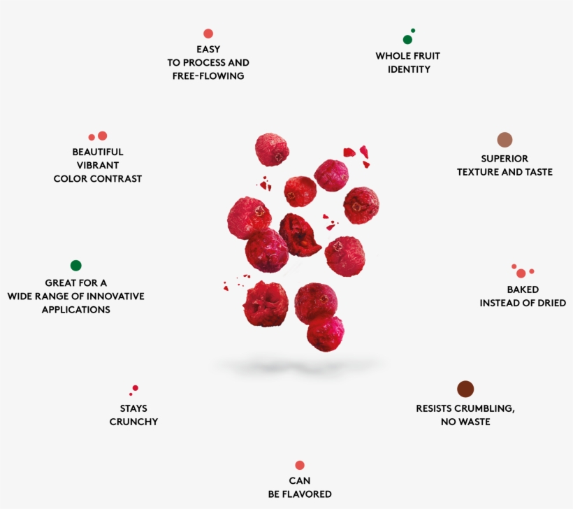 Die Vorteile Von Crunchy Cranberrys™ - Diagram, transparent png #8151891