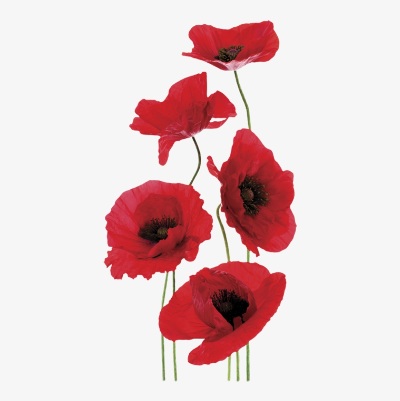 Wall Art Sticker Sublime Fragrances - Remembrance Day, transparent png #8151993