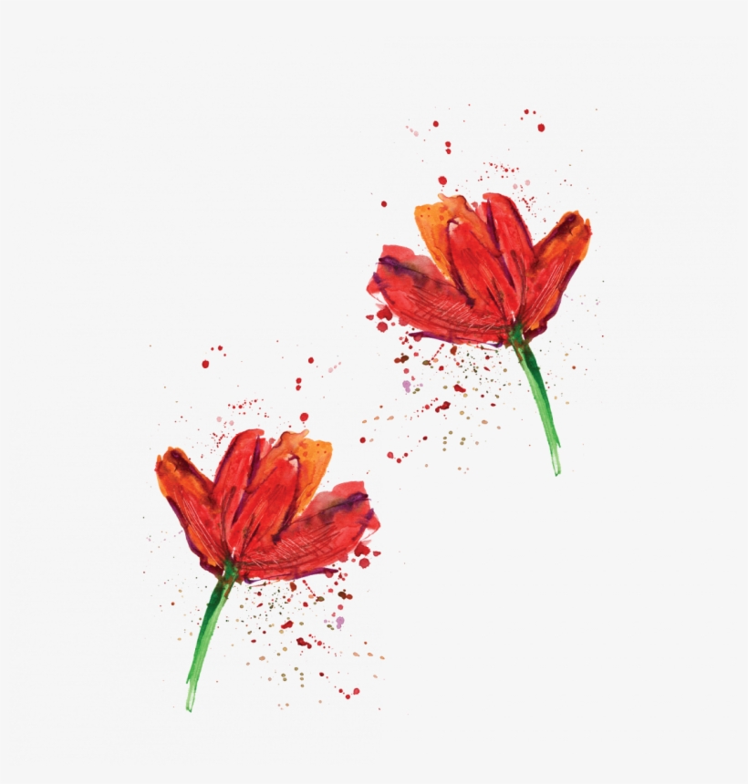 Poppies - Orange Lily, transparent png #8152014