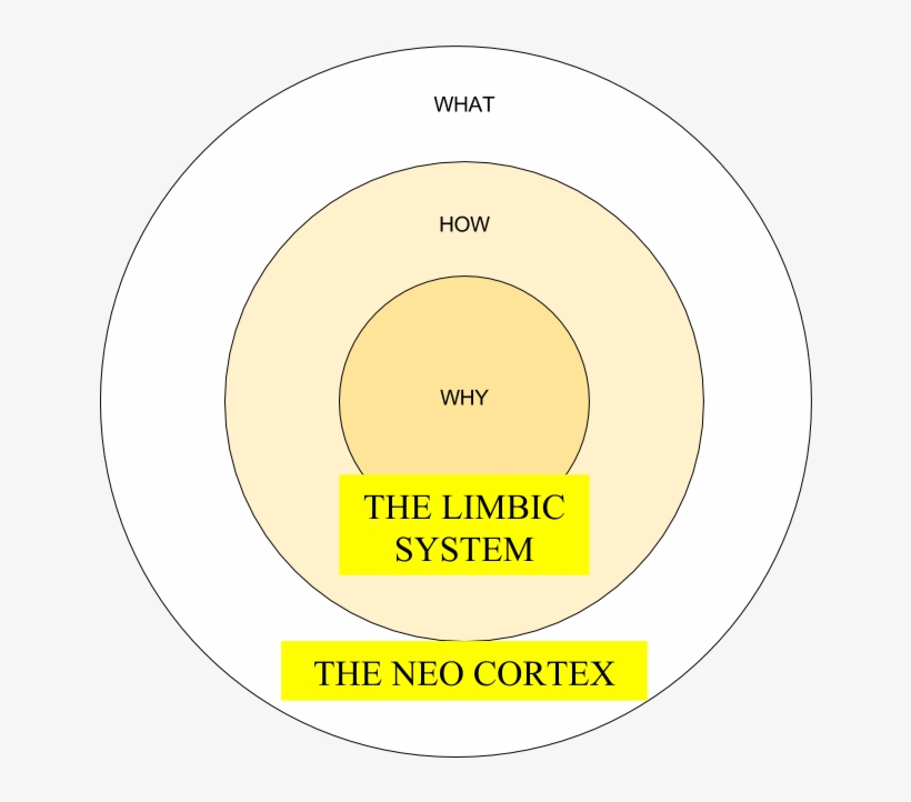 Start With Why A Summary Of Simon Sinek's Book - Circle, transparent png #8152018
