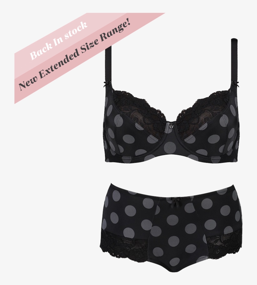 Polka Dot, transparent png #8153067