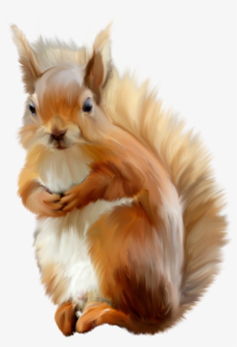 Animales Infantiles Png - Squirrel, transparent png #8153566