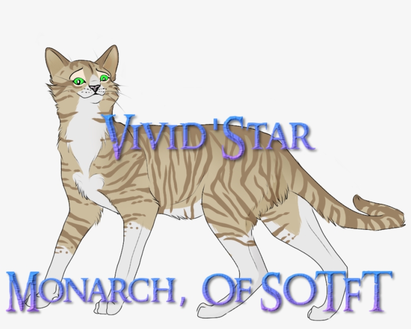 Vivid'star, transparent png #8154001