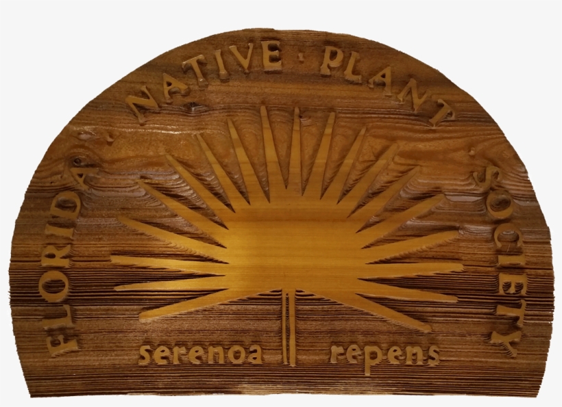 Cedar Fnps Plaque - Plywood, transparent png #8155801