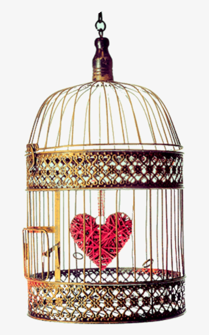 Report Abuse - Cage, transparent png #8155924