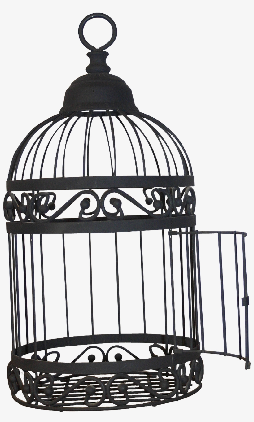 Birdcage Transparent Images - Open Bird Cage Png, transparent png #8155960