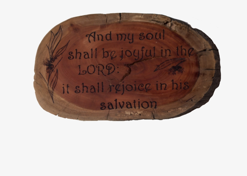 Wood, transparent png #8156067
