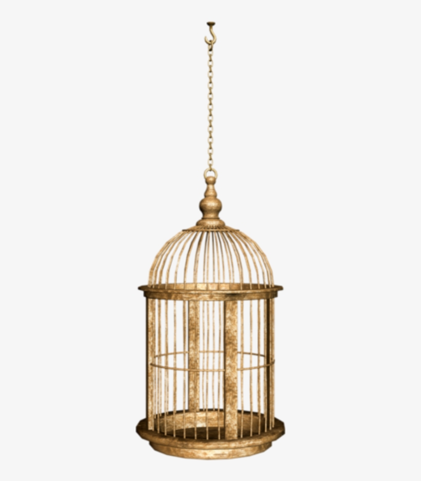 Birdcage Sticker - Cage, transparent png #8156156