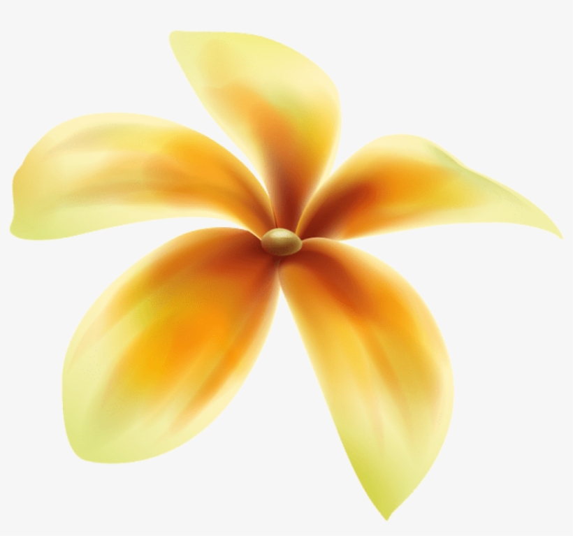 Free Png Download Yellow Flower Png Deco Png Images - Frangipani, transparent png #8156633