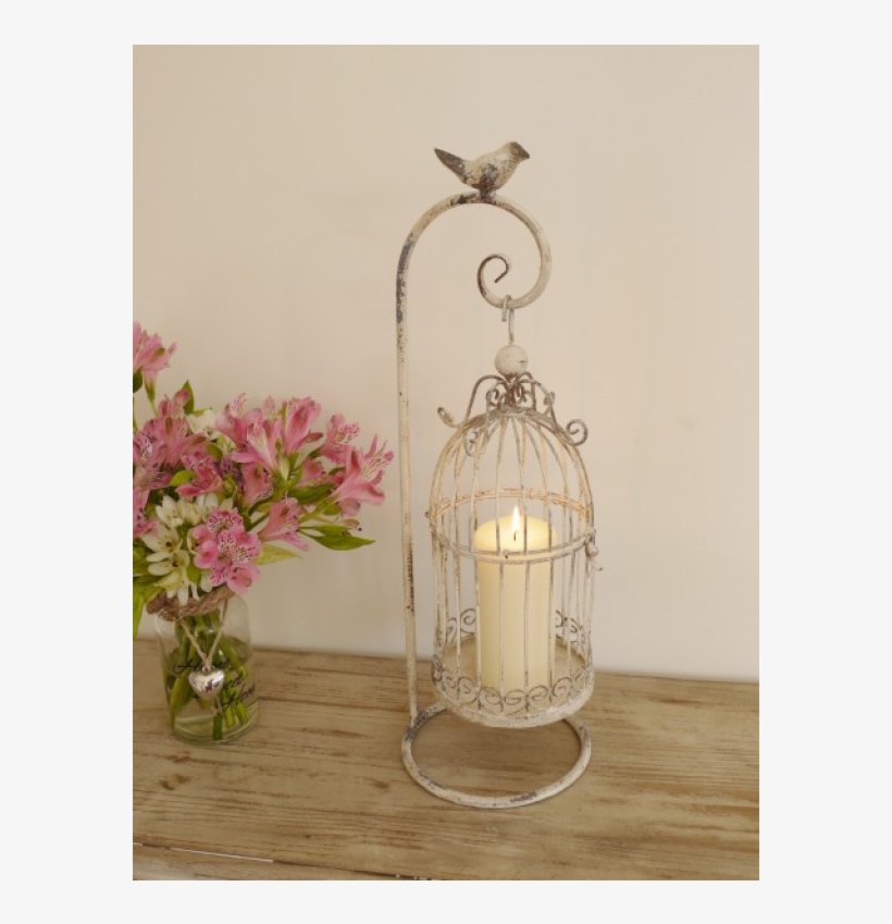 Cage, transparent png #8156768