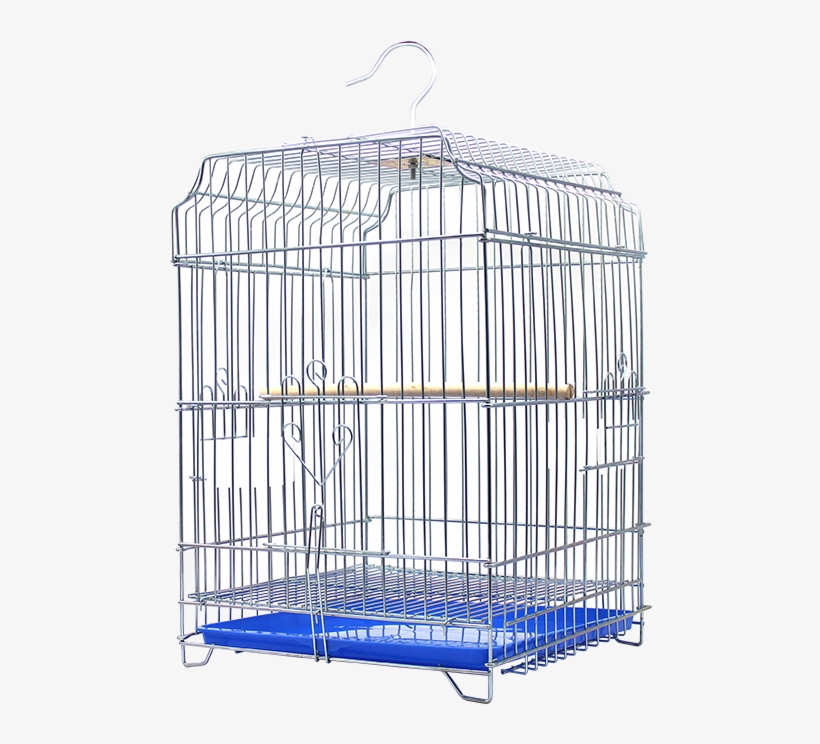 Tiger Skin Peony Parrot Starling Bird Cage Bird Thrush - Cage, transparent png #8156806