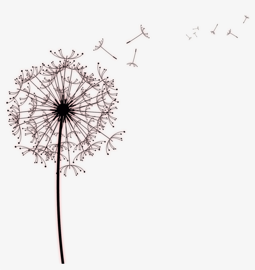 Paper Common Dandelion Photography - Dandelion Drawings, transparent png #8156830