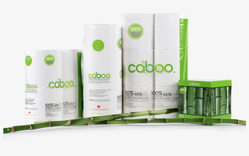 Get Sustainable Living Tips - Caboo Sustainable Bamboo Toilet Paper, transparent png #8156904