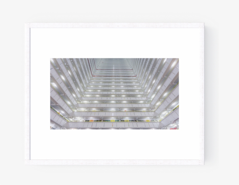 Photo The Birdcage - Picture Frame, transparent png #8157007