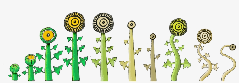 I Also Had A Chance To Work On A New Dandelion From - Dandelion Growth, transparent png #8157174