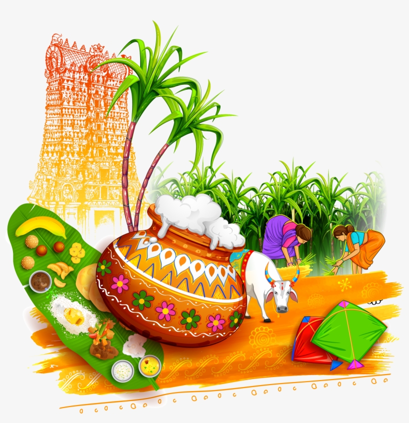 Festival Clipart Mattu Pongal Festival Mattu Pongal - Happy Pongal, transparent png #8157501