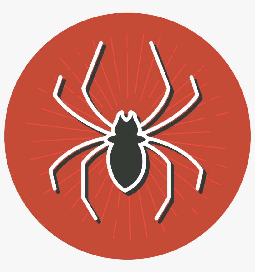 A Fear Of Spiders Seems To Be Wired Into The Human - Insect, transparent png #8157510