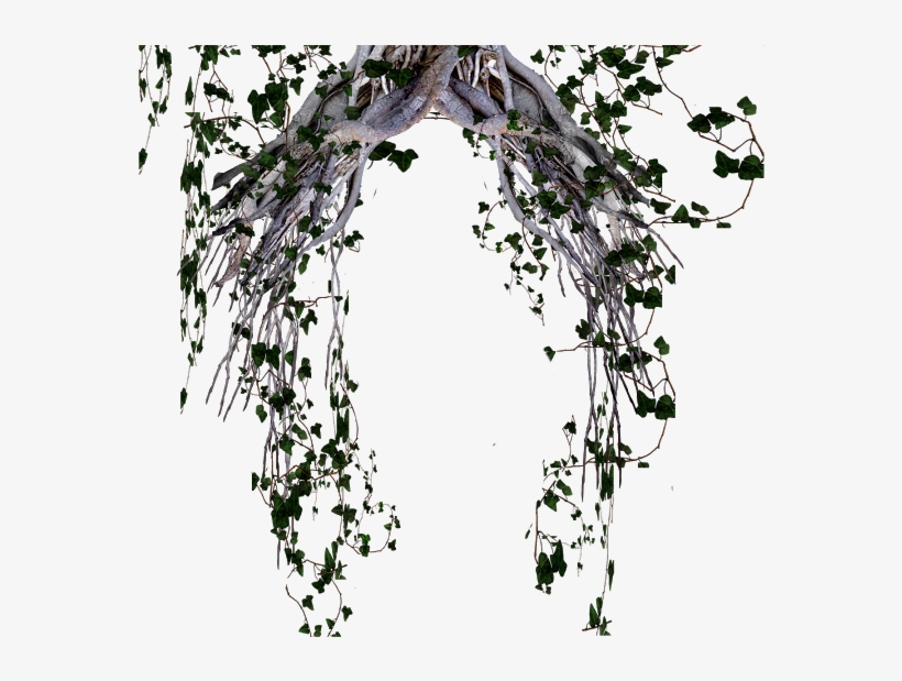 Clique Na Imagem Para Ver O Tamanho Real Ou Salvar - Illustration, transparent png #8157565