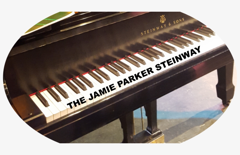 Almonte In Concert Names The Steinway Concert Grand - Piano Adventures Elephant, transparent png #8157569