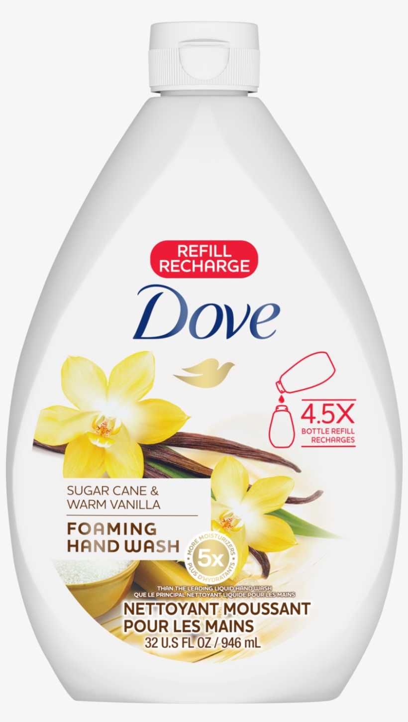 Dove, transparent png #8157572
