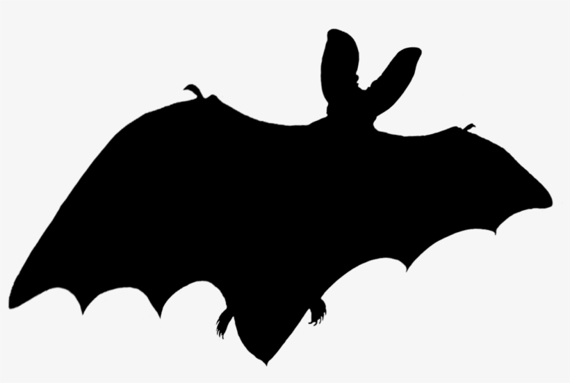 Halloween Bat With Red Eyes Png - Illustration, transparent png #8157611