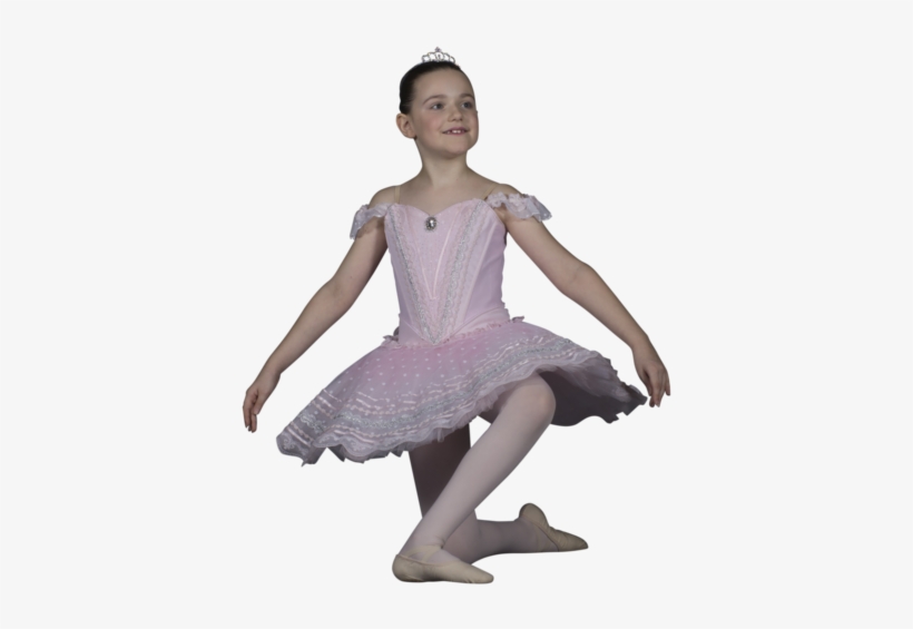 Maple Leaf School Of Russian Ballet Aims To Provide - Ballet Dancer, transparent png #8158111