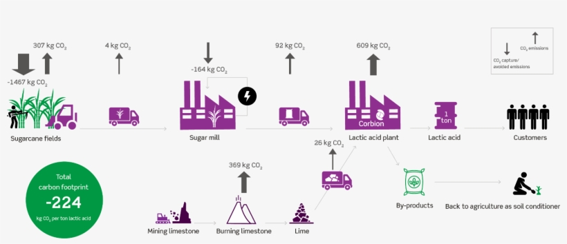 During The Growing Of The Sugar Cane, Co2 Is Absorbed - Lca Sugarcane, transparent png #8158121