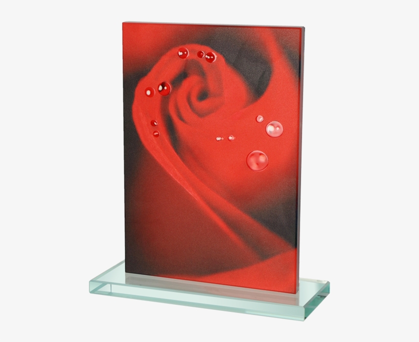 Picture Frame, transparent png #8158772