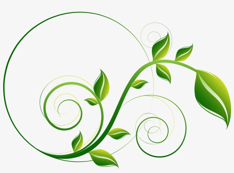 Decorative Leaf Png File, transparent png #8160555