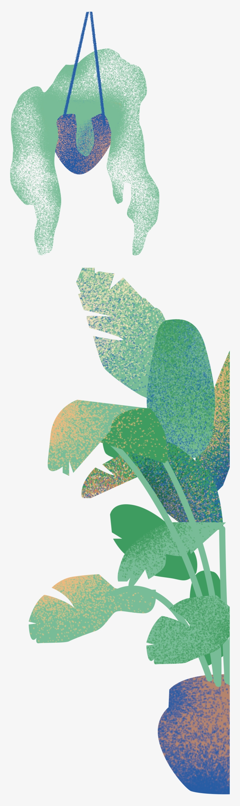 Plantas - Illustration, transparent png #8160932