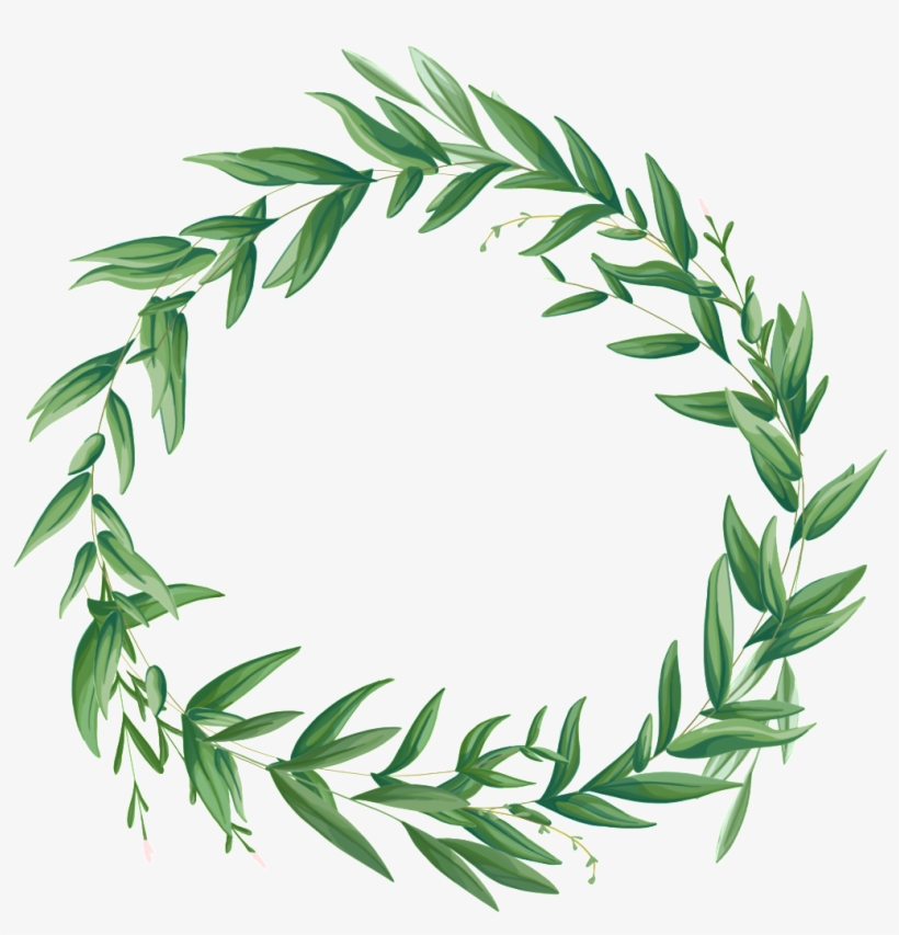 El Círculo De Plantas De Flores Es Un Png Transparente - Green, transparent png #8161113