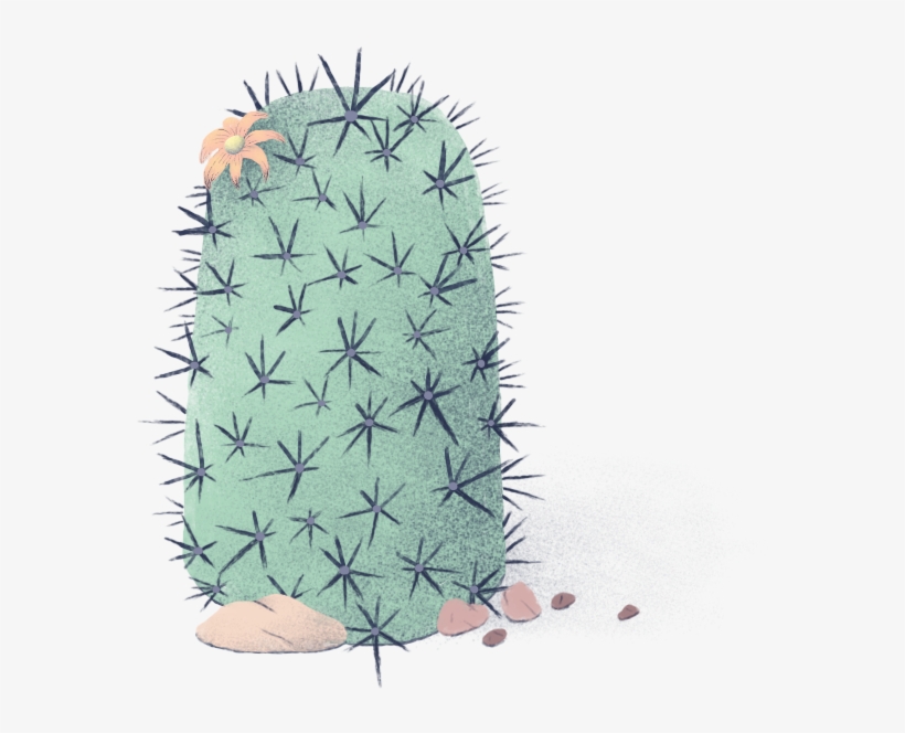 Weberocereus, transparent png #8161137