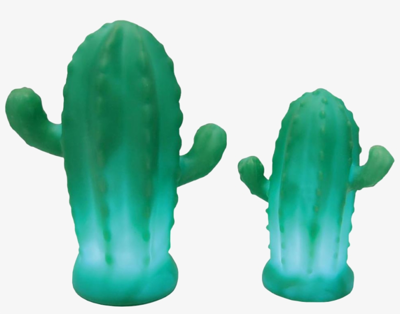 Illuminate - Eastern Prickly Pear, transparent png #8161231