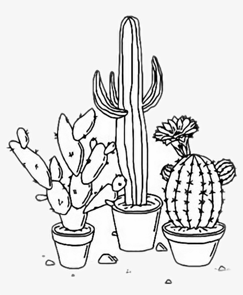 Cactus Aesthetic Plants Tumblr Outline Freetoedit Rh - Aesthetic Png Black And White, transparent png #8161407