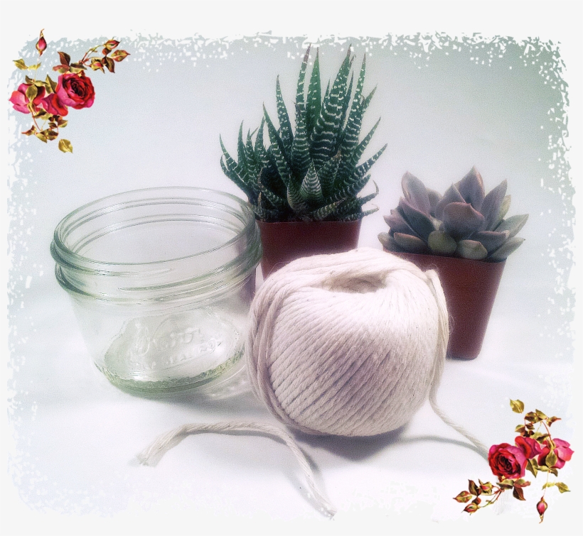 Supplies You Need - Flowerpot, transparent png #8161448