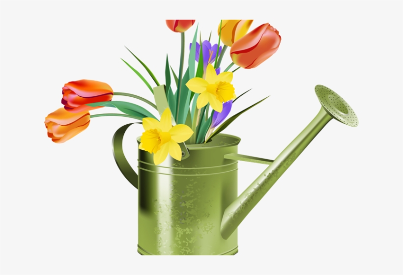 Watering Can Clipart Newsletter - Tulips And Daffodil Clipart, transparent png #8162632