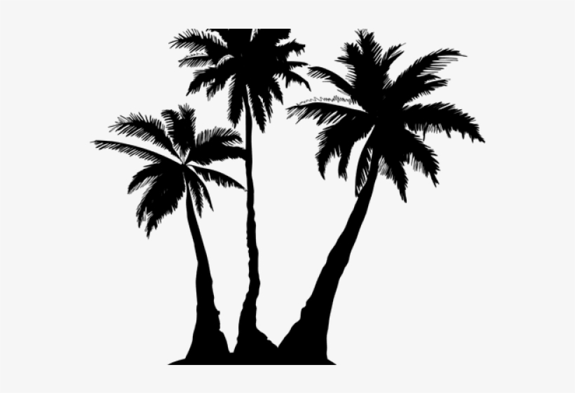 Palm Tree Drawing Transparent Background, transparent png #8163438