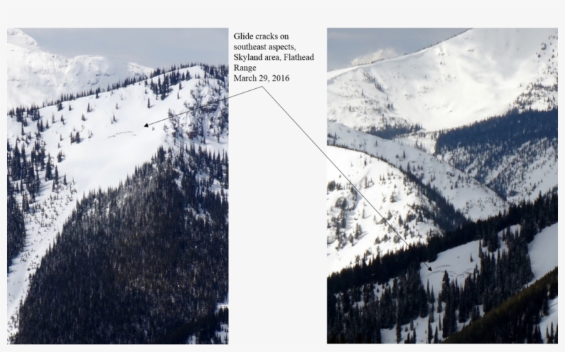 Https - //flatheadavalanche - - Snow, transparent png #8163556