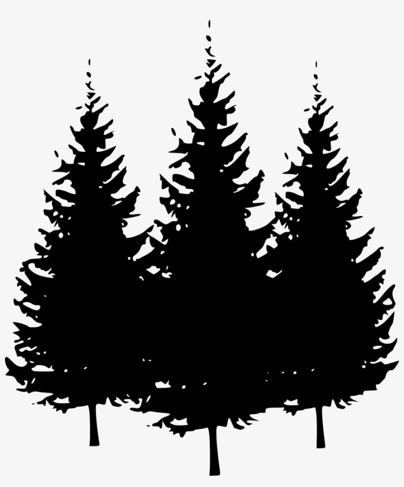 Download Png - Transparent Pine Tree Clipart, transparent png #8163803