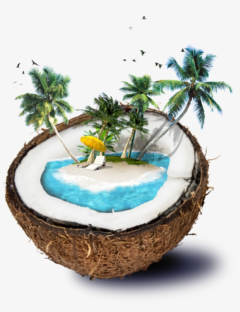 Coconut Travel Material Water Template Shading Borders,shading - Manipulation Of Summer Photoshop, transparent png #8164002