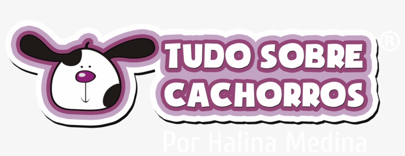 Golden Retriever Tudo Sobre Cachorros, transparent png #8164167