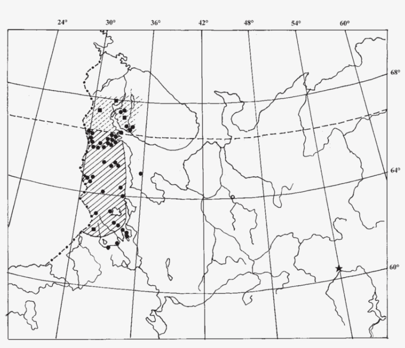 Drawn Smoke Shading - Line Art, transparent png #8164212