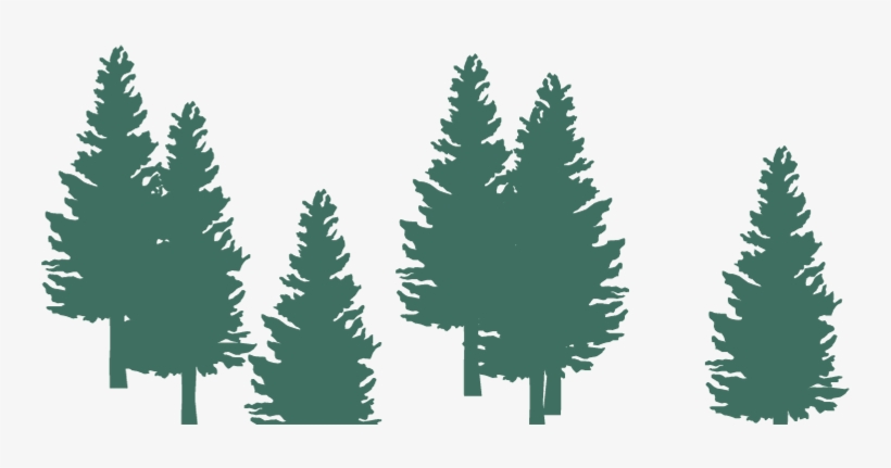 Christmas Tree, transparent png #8164252